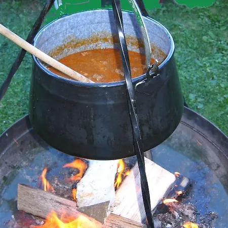 Penzion Horský Dům *